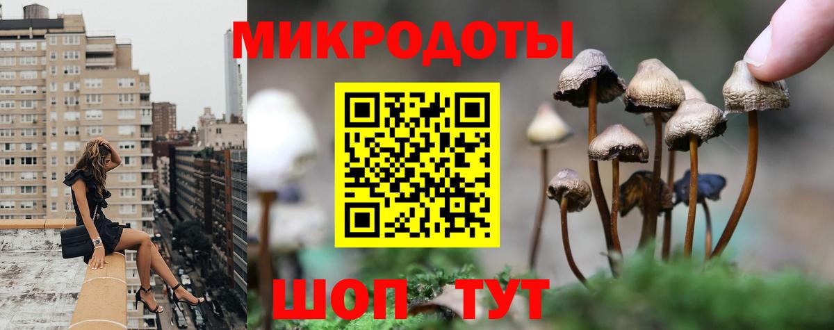 Новоалтайск  Галлюциногенные грибы GOLDEN TEACHER  Вход с VPN 